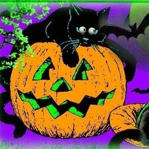 Meet your Posher, Debra